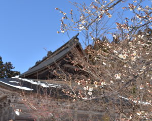 梅の花と法福寺